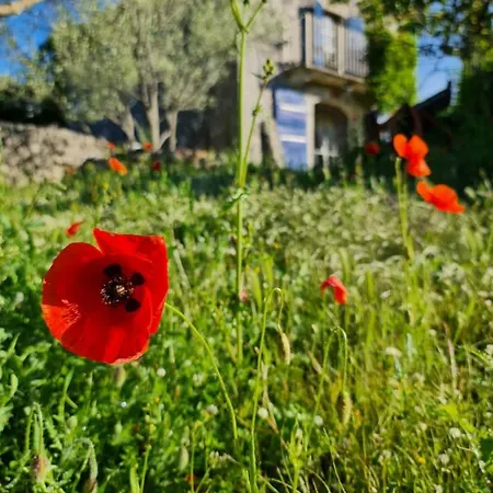 Oskar Sunny House - Adults Only * Gabonjin